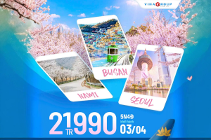 Tour Hàn Quốc: Busan - Seoul - Lotte World